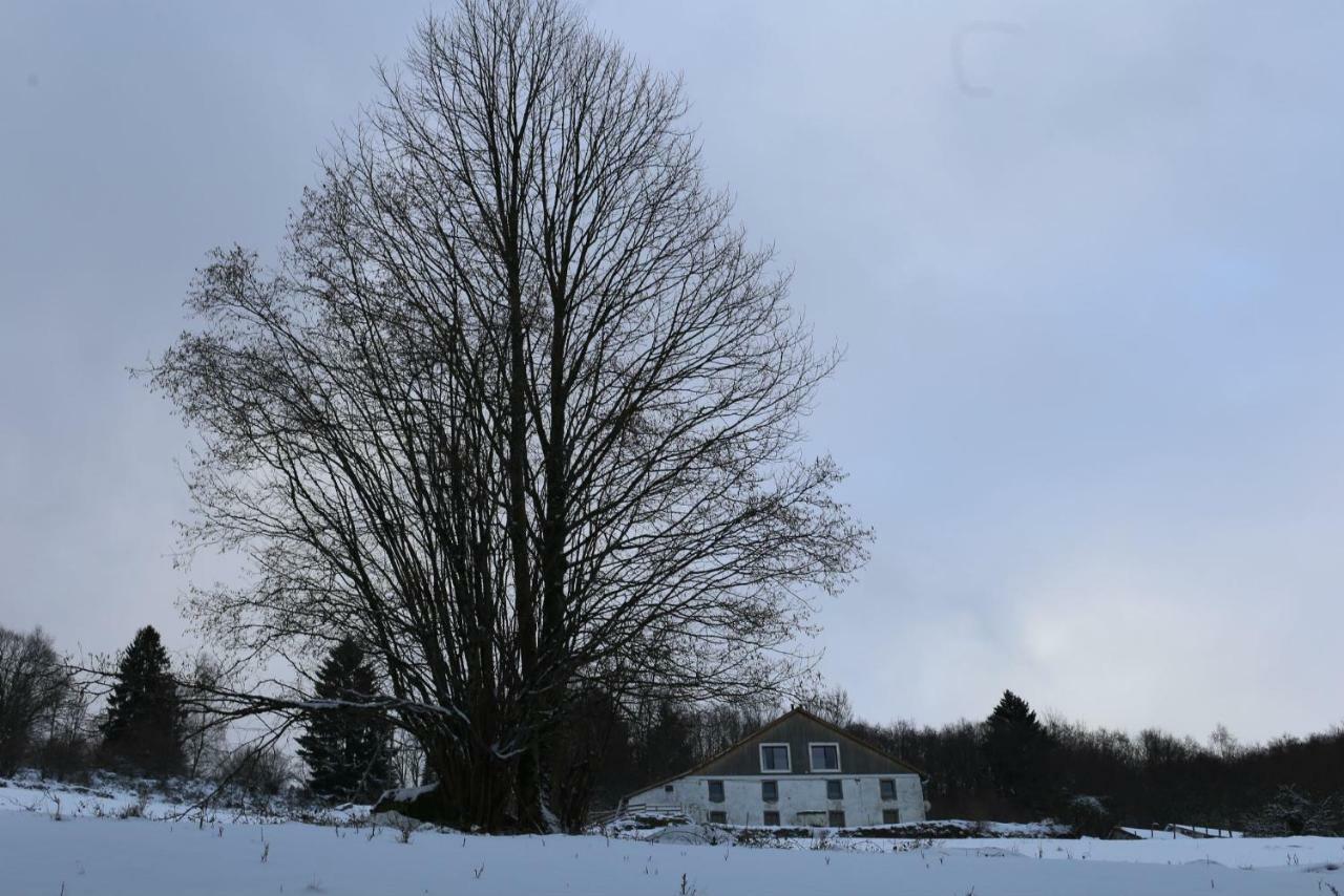 La Ferme Sous Les Hiez Hotel Cornimont Buitenkant foto