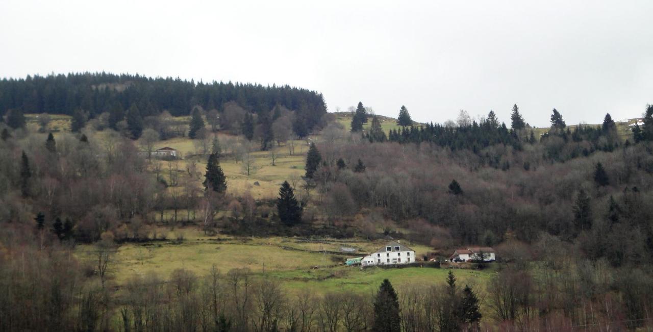 La Ferme Sous Les Hiez Hotel Cornimont Kamer foto